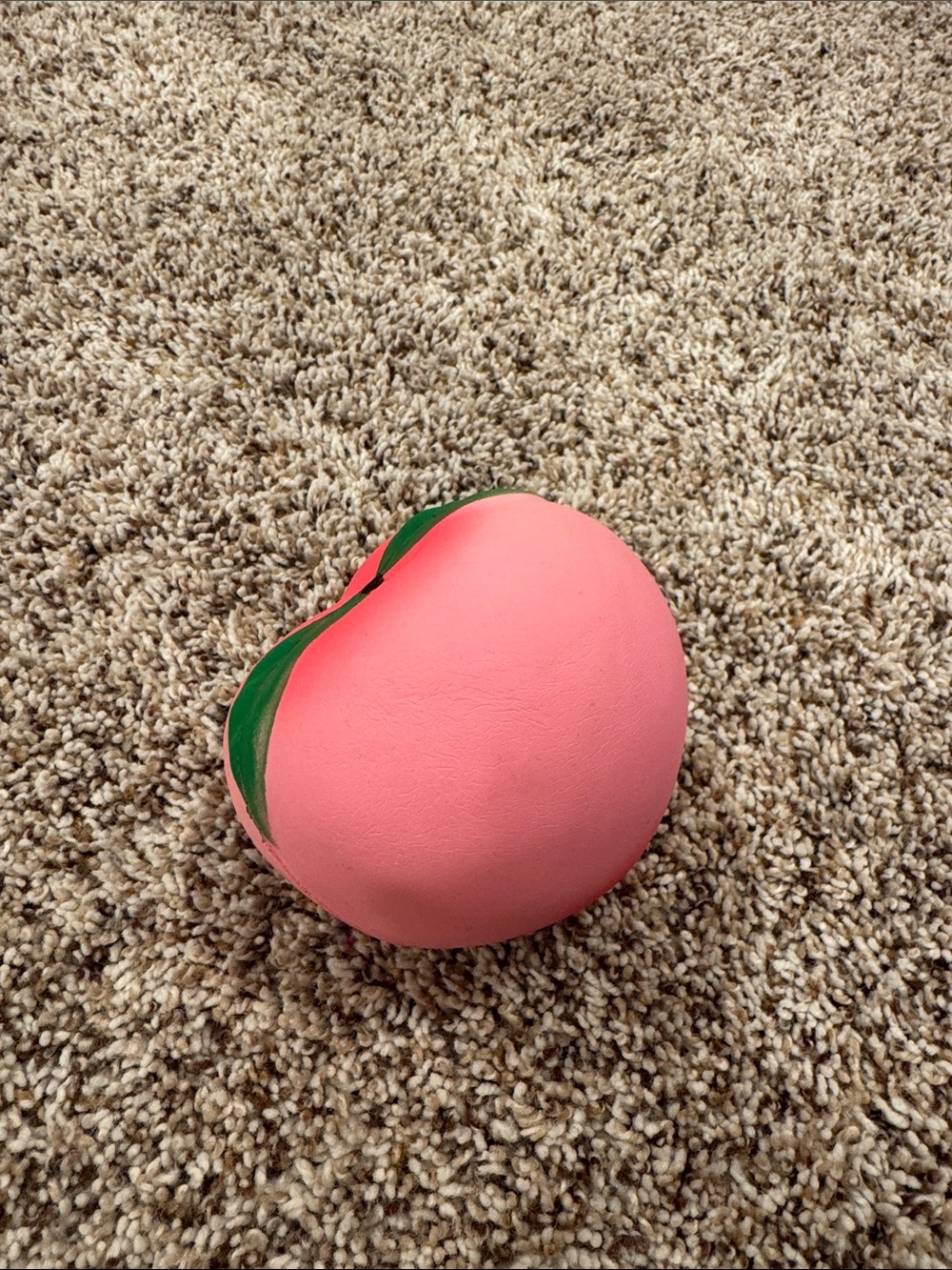 Pink Peach Decorative Accent with Green Leaf Detail Squishy